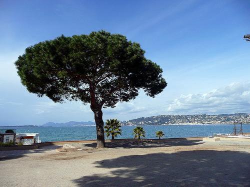 Appartement De Charme Coeur De Juan & Plages 앙티브 외부 사진